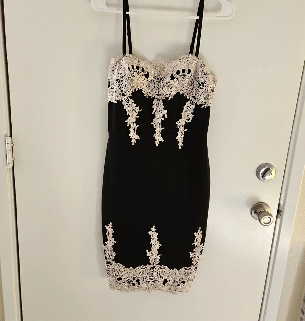 Haute Monde Black Dress with Cream Lace - Picture 5 of 6